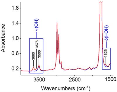 Sorption of Water Vapor in Poly(L-Lactic Acid): A Time-Resolved FTIR Spectroscopy Investigation